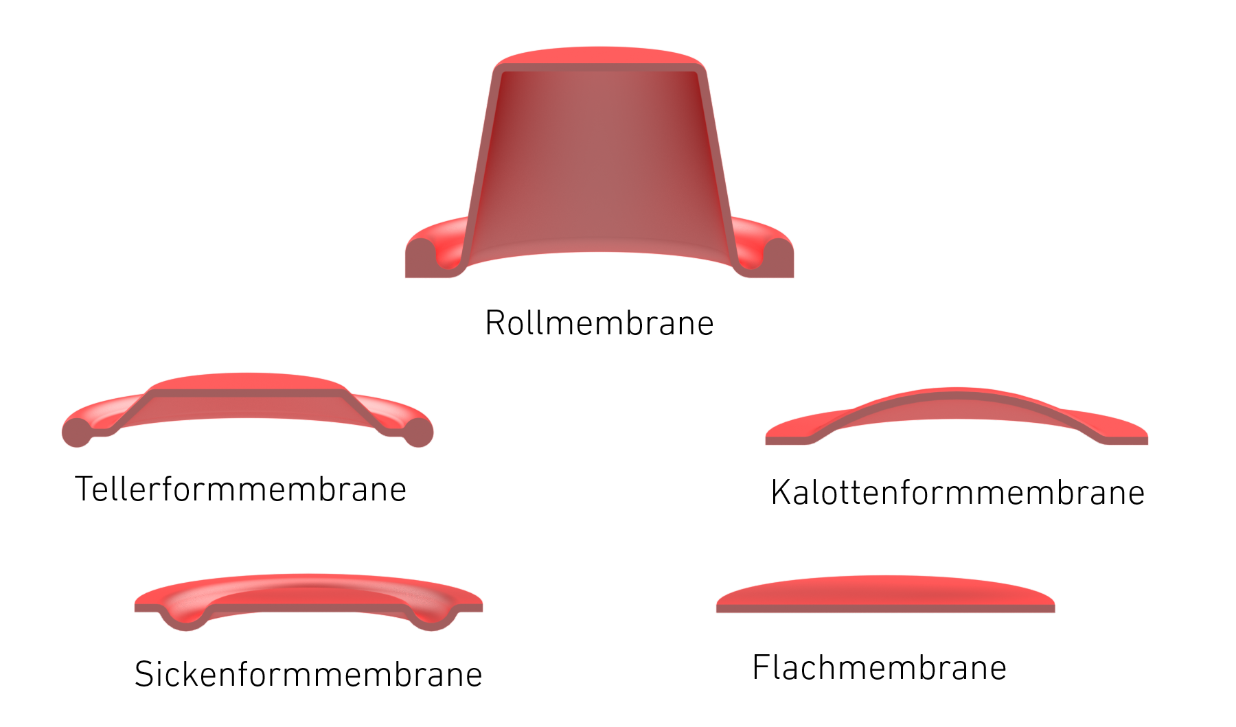 Membrane